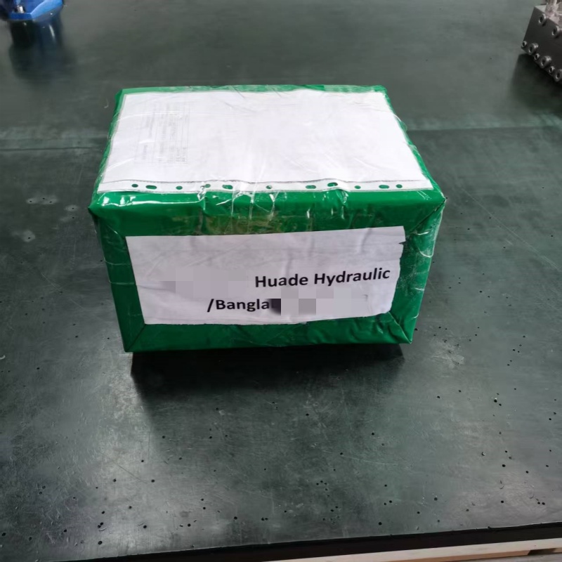 Huade Válvula direccional hidráulica 4We10J31B/CG24N9K4 Completo envío personalizado hoy
